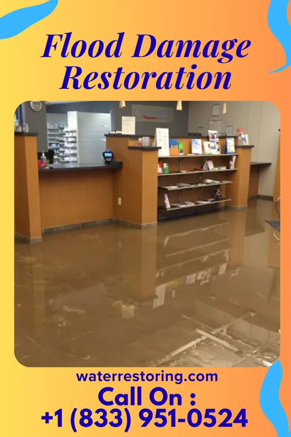 Flood Damage Restoration in Ellsworth, MI