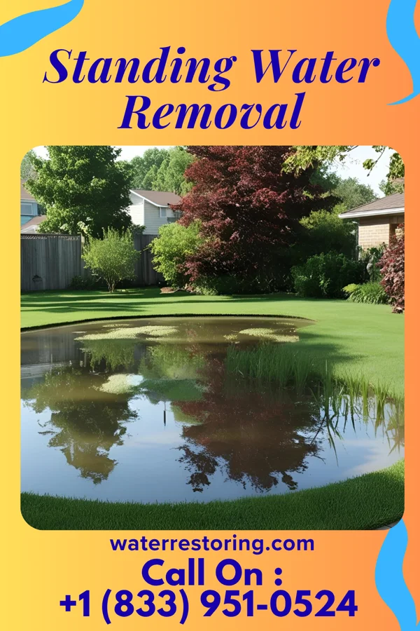 Standing Water Removal in Ellsworth, MI